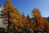 11.10. 2008 - Gosaukamm (Alpy okolo Dachsteinu). Modříny měly tu nejkrásnější barvu, jakou mohly mít.