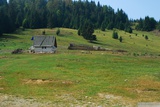 Domek s prasaty na kraji sníženy Bălileasa.
