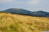 Hřeben Vlădeasa. Vlevo je hora Vlădeasa, vpravo pak Bílé skály (Piatrele Albe) a Piatra Grăitoare.