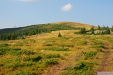 Plochý hřbet hory Vlădeasa (1836m).