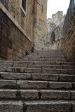 26.1.2008 - Jeruzalém, pohled z hradeb na chrámový pahorek, zlatá kopule patří Dómu kamene..