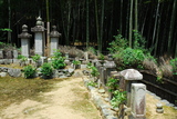 5.8. 2007 - Kjóto, Arašijama, hřbitov mezi bambusem