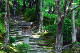 5.8. 2007 - Kjóto, Arašijama, chrám Jókkakó-ji