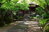 5.8. 2007 - Kjóto, Arašijama, chrám Jókkakó-ji