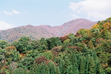 Shirakawa-go, další podzimní barvy