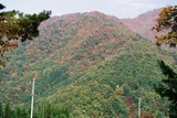 Shirakawa-go, podzimní barvy