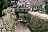 Kjóto, kanál u stezky filozofie (Tetsugaku-no-michi)
