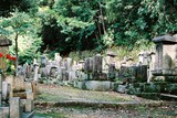 Kjóto, chrám Chion-in, hřbitov nad ním
