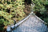 Kjóto, chrám Chion-in, kohouti na střeše