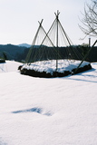 3.2. 2007, Konstrukce k ochraně keřů před těžkým sněhem (výjimečně se sněhem), u JAISTu.