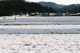 3.2. 2007, Zasněžená rýžoviště a vesnička u JAISTu