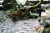 3.2. 2007, Japonský fotograf si čistí záběr vodopádu u JAISTu