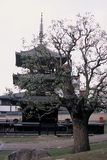 4.4. 2007 - Nara, pagoda u chrámu Kófuku-ji