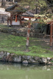 4.4. 2007 - Nara, svatyňka u chrámu Sangatsu-dó (březnový chrám)