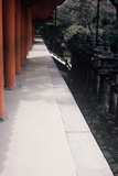 4.4. 2007 - Nara, svatyně Kasuga-taisha, sloupy a lampy