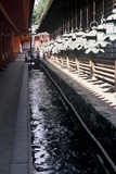 4.4. 2007 - Nara, svatyně Kasuga-taisha, teď se mezi ně vtlačil ještě vodní kanál