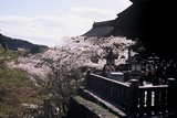 5.4. 2007 - Kjóto, chrám Kiyomizu-dera