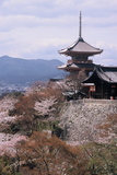 5.4. 2007 - Kjóto, chrám Kiyomizu-dera, kvete to opravdu pěkně, ne?
