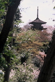 5.4. 2007 - Kjóto, chrám Kiyomizu-dera, stará pagoda za stromy