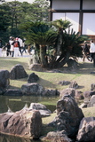 5.4. 2007 - Kjóto, hrad Nijó, jestlipak jsou vám ty palmy povědomé?