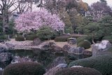 5.4. 2007 - Kjóto, hrad Nijó, zjara je v tom rybníčku i voda