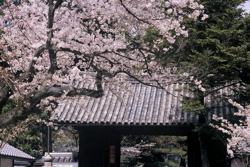 5.4. 2007 - Kjóto, chrám Kiyomizu-dera