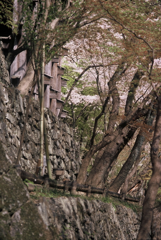 5.4. 2007 - Kjóto, chrám Kiyomizu-dera