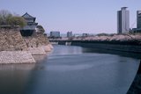 6.4. 2007 - Ósaka, hrad, sakury a sakury