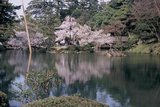 8.4. 2007 - Kanazawa, zahrada Kenrokuen, tentokrát u jezírka.