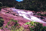 1.7.2007 - Iriomote-jima, vodopád Kanbiré na řece Urauči