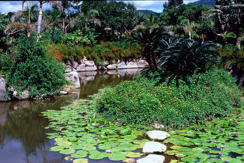 2.7. 2007 - Iriomote-jima (Yubu-jima), botanická zahrada