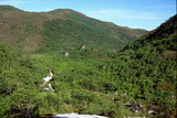 7.7. 2007 - Hókkaidó, Niseko, pohled k západu na Nytonupuri (1080m)