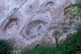 10.7. 2007 - Hókkaidó, <em>bokke</em>, čili bahenní sirné vývěry u Akan-Kohanu
