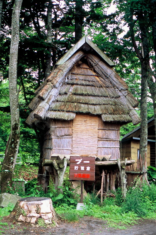 13.7. 2007 - Hókkaidó, Akan-Kohan, Ainu Kotan (ainujská 