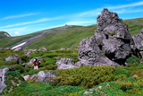 18.7. 2007 - Hókkaidó, Daisetsu-zan, Divoká Orchidej mezi skalkami pod Tomuraushi-yamou (2141m)