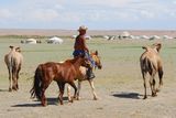 15.7. 2008 - Bayan zag. Toť pravý mongolský kamelboj.