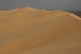 17.5. 2008 - Chongorin Els čili Zpívající duny.