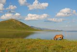 23.7. 2008 - Terchín Cagán núr. Kůň, step a jezero, takový obyčejný obrázek z Mongolska.
