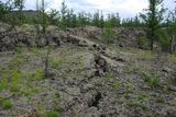 25.7. 2008 - Terchín Cagán núr. Kolem je pláň pokrytá ztuhlou lávou a rozpukaným kamením.