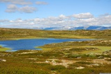 Hardangervidda.