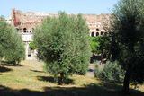 Pohled z Palatinu na Koloseum