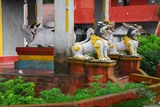 Těžko říct, je-li chrám Dhirdham hinduistický či buddhistický, ale rozhodně v něm uctívají krávu.