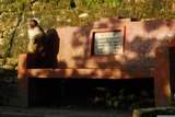 Opička na lavičce u hinduistické svatyně Mahaakal (Mahaakal Mandir).