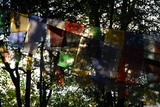 Mahaakal Mandir. Nicméně ty vlaječky vypadají krásně, zasvítí-li do nich slunce.