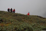 Jirka, Kunzan, Katka a Ida při výstupu mezi rododendrony na vrch Dzongri.