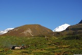Krajina okolo našeho tábora u Dzongri.